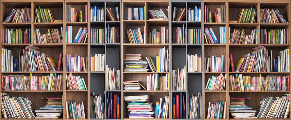 Shelves of books